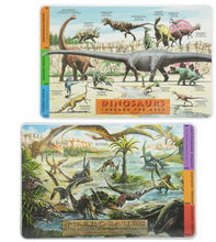 Load image into Gallery viewer, Dinosaurs + Pterosaurs Placemats