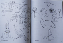 Load image into Gallery viewer, USA Coloring Book