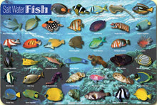 Load image into Gallery viewer, Fish Placemats: Fresh Water and Salt Water Fish (2 placemats)
