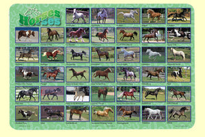 Horses Placemat